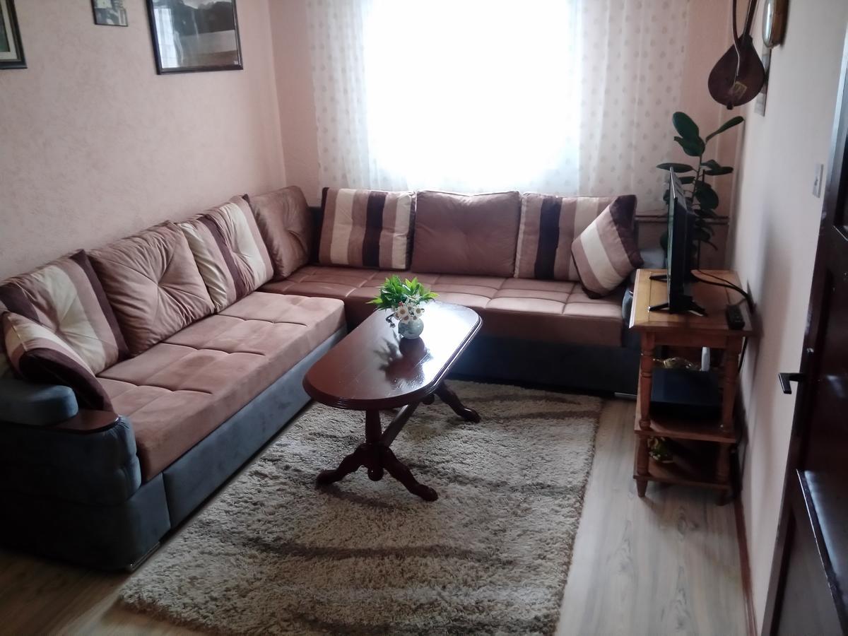 Apartment Mountain Dream Zabljak  Exterior photo